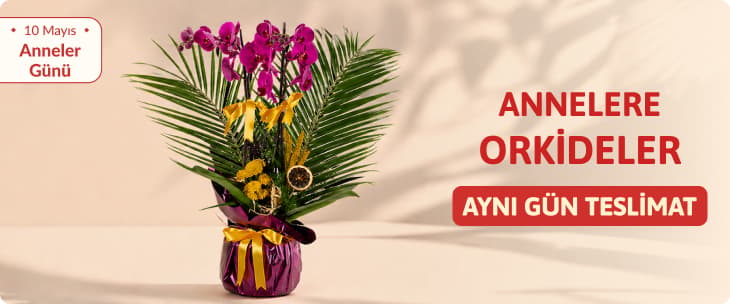 Anneler Günü Orkide