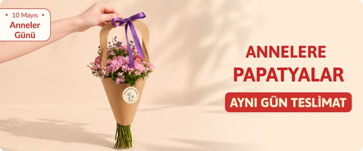Anneler Günü Papatya