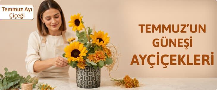 Ayın Çiçeği Ayçiçeği