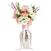 Lisyantus