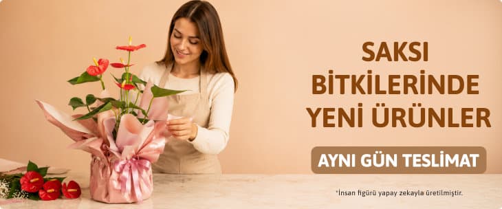 Saksı Bitkilerinde Yeni Ürünler