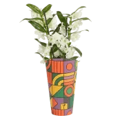 Yeni Ürünler