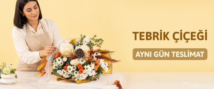 Tebrik Çiçeği
