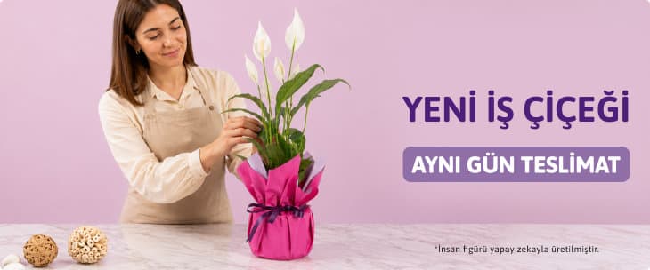 YENİ İŞ